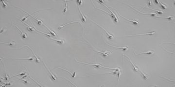 Reclaiming your energy source