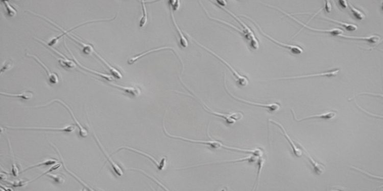 Reclaiming your energy source