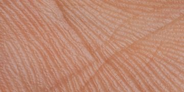 Guarding your skin barrier