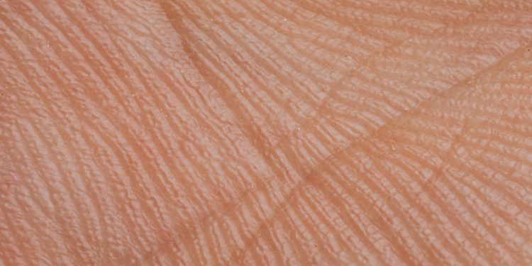 Guarding your skin barrier